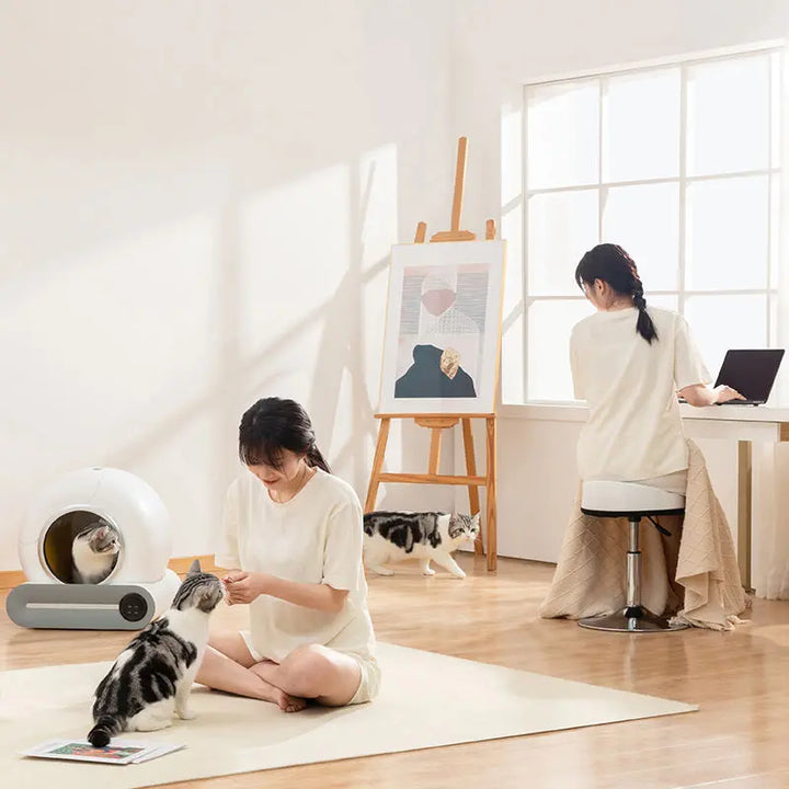 CatLoo - Self-Cleaning Cat Litter Box™